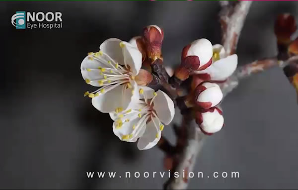 پیام تبریک دکتر هاشمی به شما همراه گران قدر نور